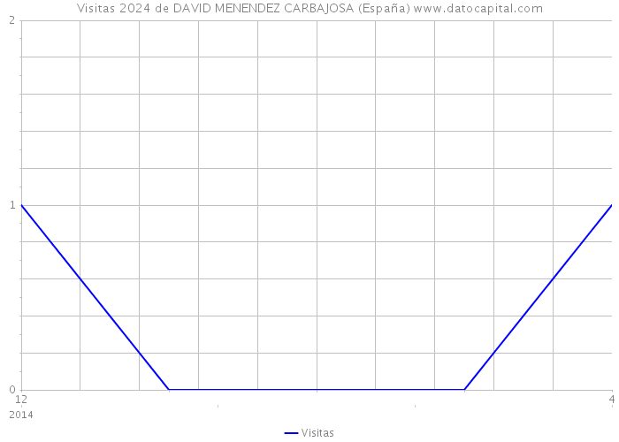 Visitas 2024 de DAVID MENENDEZ CARBAJOSA (España) 