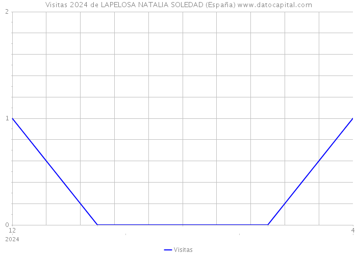 Visitas 2024 de LAPELOSA NATALIA SOLEDAD (España) 