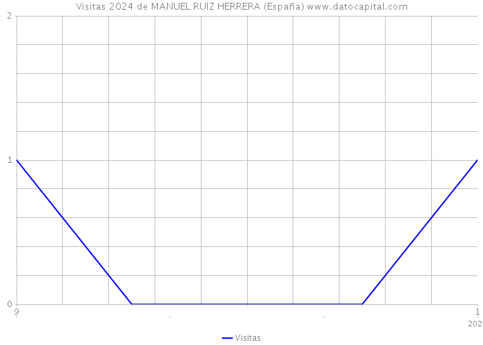 Visitas 2024 de MANUEL RUIZ HERRERA (España) 