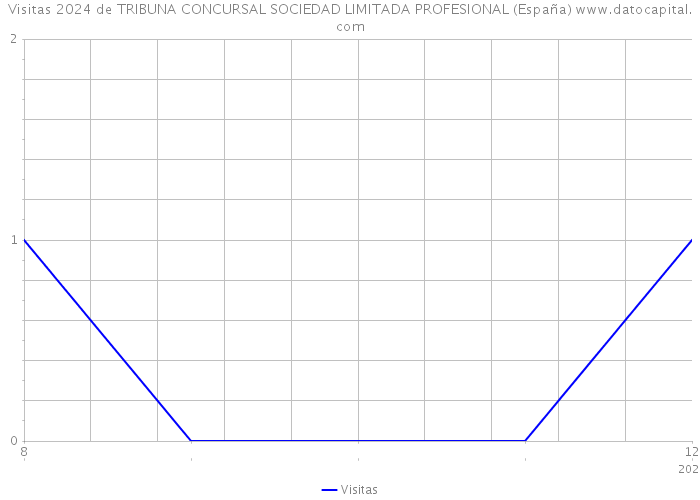 Visitas 2024 de TRIBUNA CONCURSAL SOCIEDAD LIMITADA PROFESIONAL (España) 