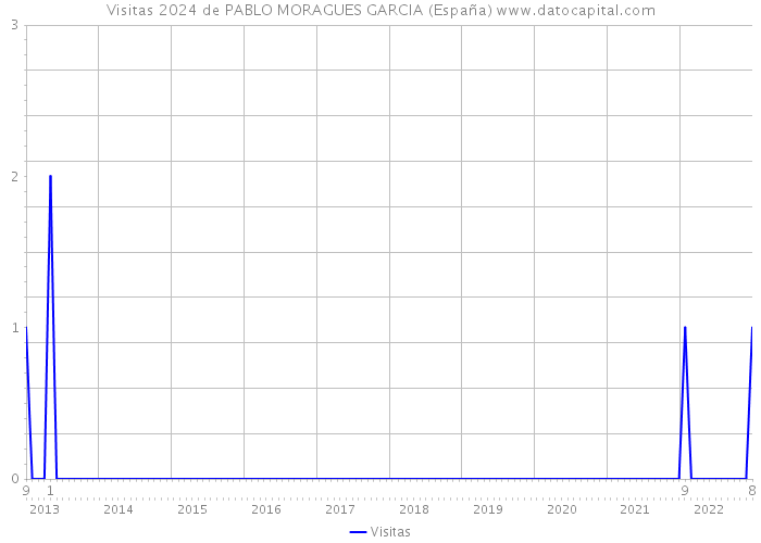 Visitas 2024 de PABLO MORAGUES GARCIA (España) 
