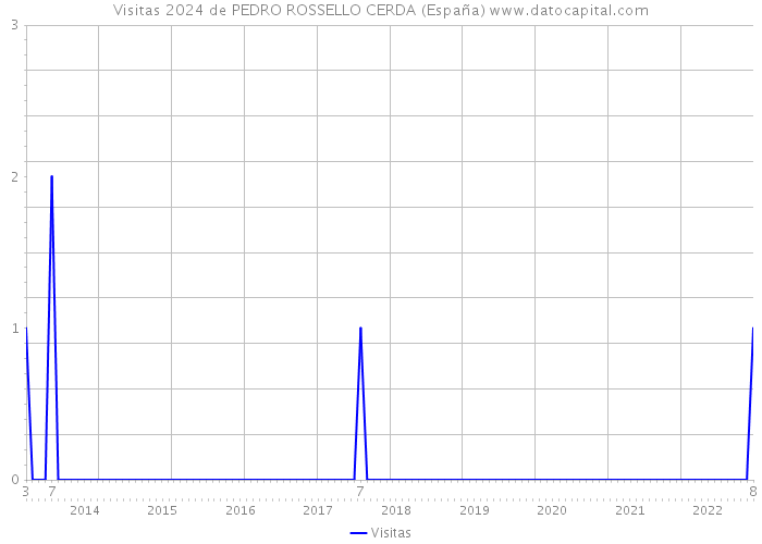 Visitas 2024 de PEDRO ROSSELLO CERDA (España) 