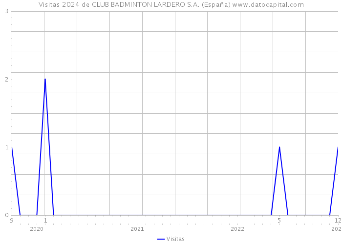 Visitas 2024 de CLUB BADMINTON LARDERO S.A. (España) 