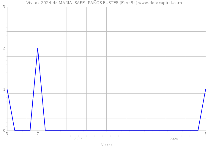 Visitas 2024 de MARIA ISABEL PAÑOS FUSTER (España) 