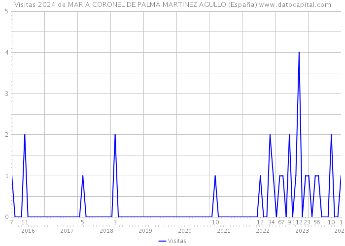 Visitas 2024 de MARIA CORONEL DE PALMA MARTINEZ AGULLO (España) 
