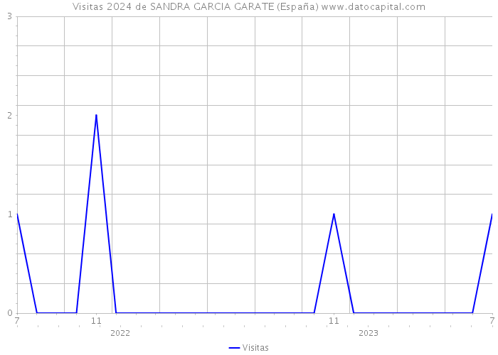 Visitas 2024 de SANDRA GARCIA GARATE (España) 