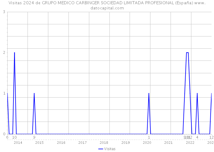 Visitas 2024 de GRUPO MEDICO CARBINGER SOCIEDAD LIMITADA PROFESIONAL (España) 