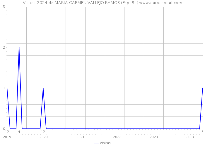 Visitas 2024 de MARIA CARMEN VALLEJO RAMOS (España) 