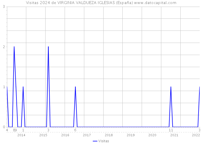 Visitas 2024 de VIRGINIA VALDUEZA IGLESIAS (España) 