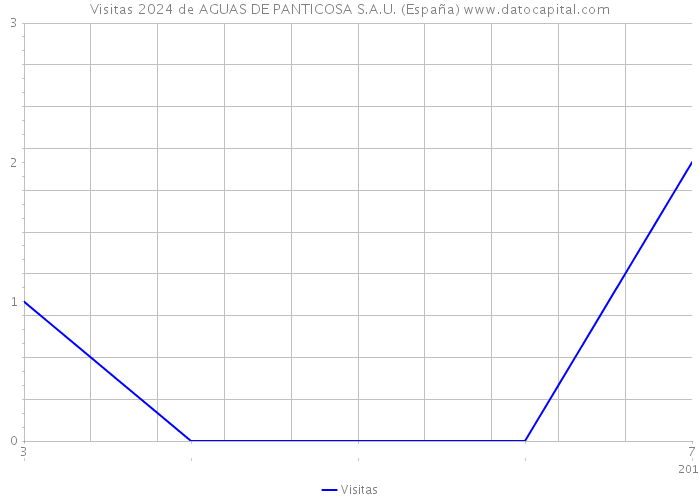 Visitas 2024 de AGUAS DE PANTICOSA S.A.U. (España) 