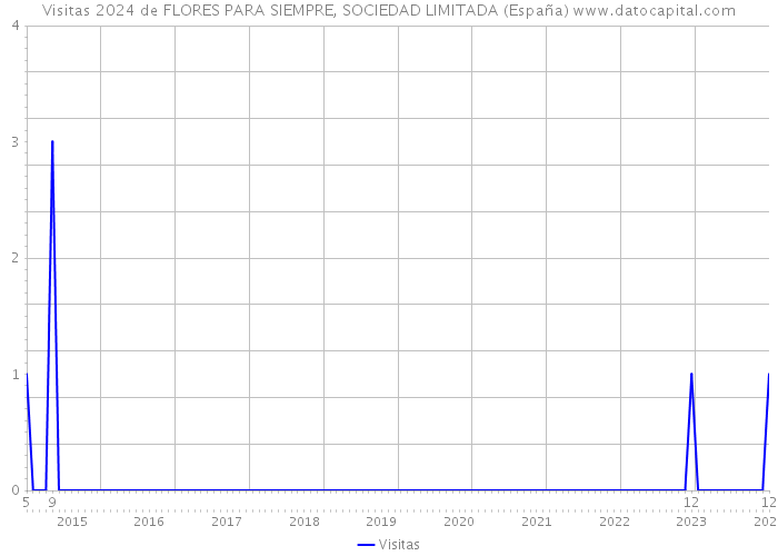 Visitas 2024 de FLORES PARA SIEMPRE, SOCIEDAD LIMITADA (España) 
