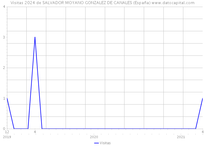 Visitas 2024 de SALVADOR MOYANO GONZALEZ DE CANALES (España) 