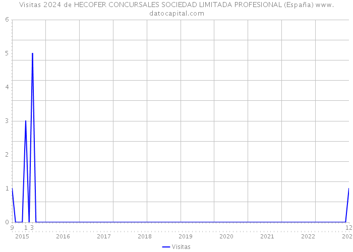 Visitas 2024 de HECOFER CONCURSALES SOCIEDAD LIMITADA PROFESIONAL (España) 