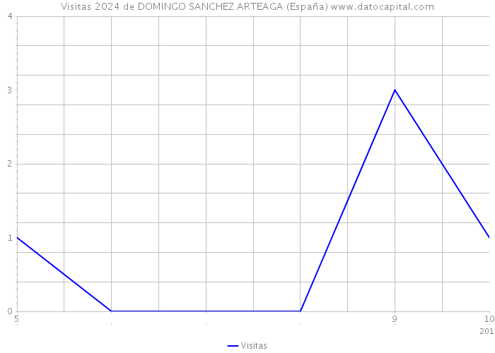 Visitas 2024 de DOMINGO SANCHEZ ARTEAGA (España) 