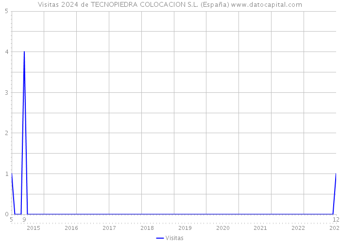Visitas 2024 de TECNOPIEDRA COLOCACION S.L. (España) 