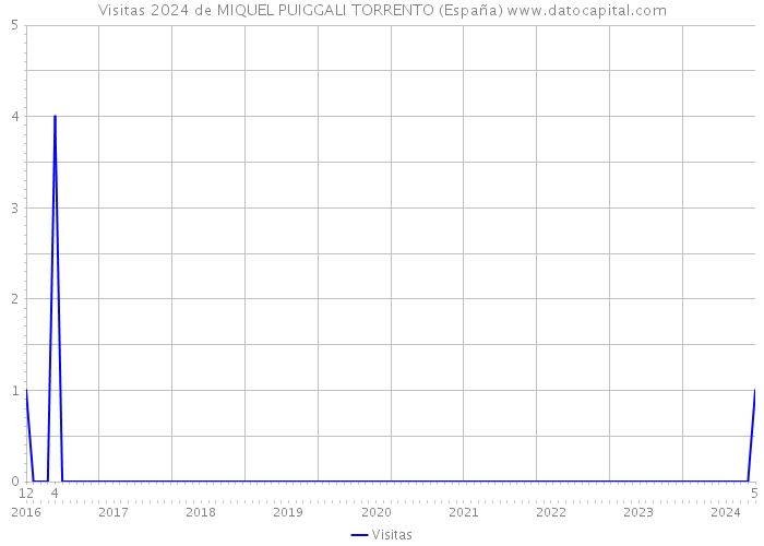 Visitas 2024 de MIQUEL PUIGGALI TORRENTO (España) 
