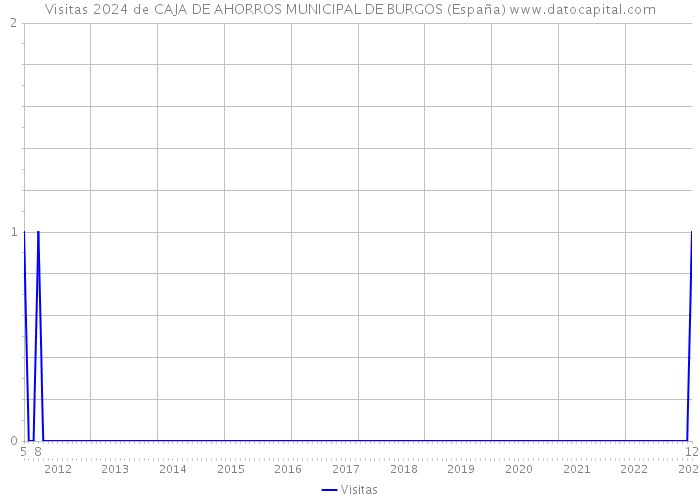 Visitas 2024 de CAJA DE AHORROS MUNICIPAL DE BURGOS (España) 