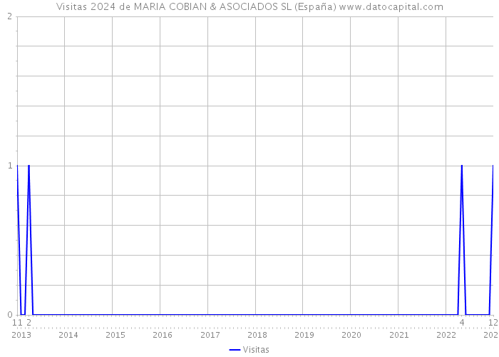 Visitas 2024 de MARIA COBIAN & ASOCIADOS SL (España) 