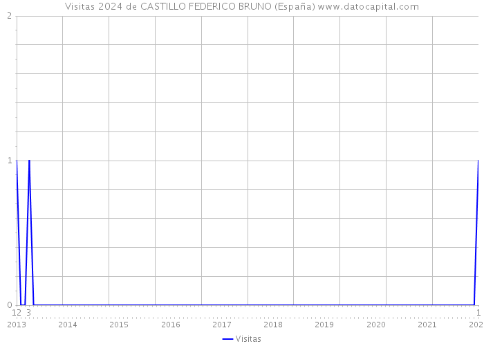Visitas 2024 de CASTILLO FEDERICO BRUNO (España) 