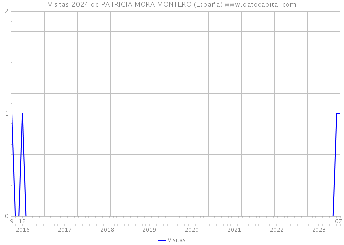 Visitas 2024 de PATRICIA MORA MONTERO (España) 
