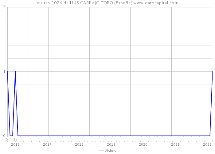 Visitas 2024 de LUIS CARRAJO TORO (España) 