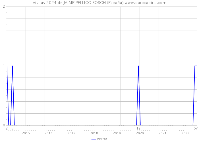 Visitas 2024 de JAIME PELLICO BOSCH (España) 