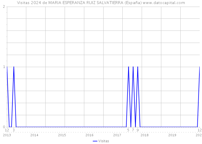 Visitas 2024 de MARIA ESPERANZA RUIZ SALVATIERRA (España) 