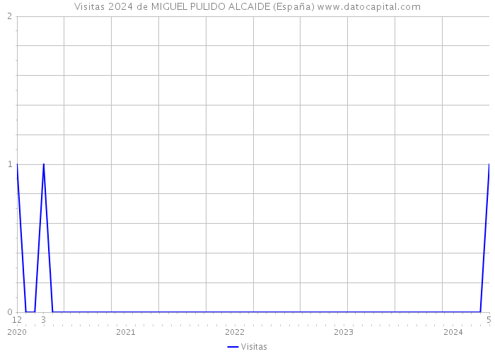 Visitas 2024 de MIGUEL PULIDO ALCAIDE (España) 