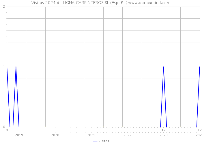 Visitas 2024 de LIGNA CARPINTEROS SL (España) 
