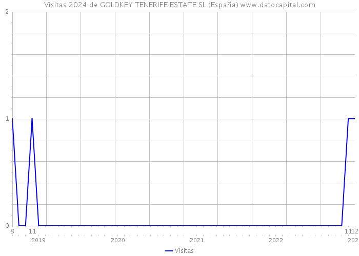 Visitas 2024 de GOLDKEY TENERIFE ESTATE SL (España) 