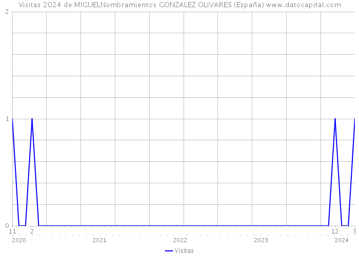 Visitas 2024 de MIGUELNombramientos GONZALEZ OLIVARES (España) 