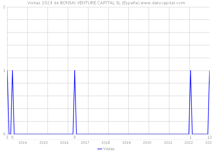 Visitas 2024 de BONSAI VENTURE CAPITAL SL (España) 