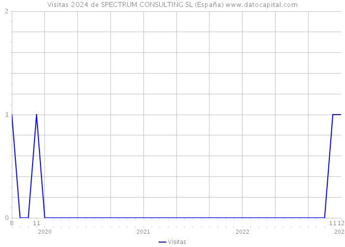 Visitas 2024 de SPECTRUM CONSULTING SL (España) 