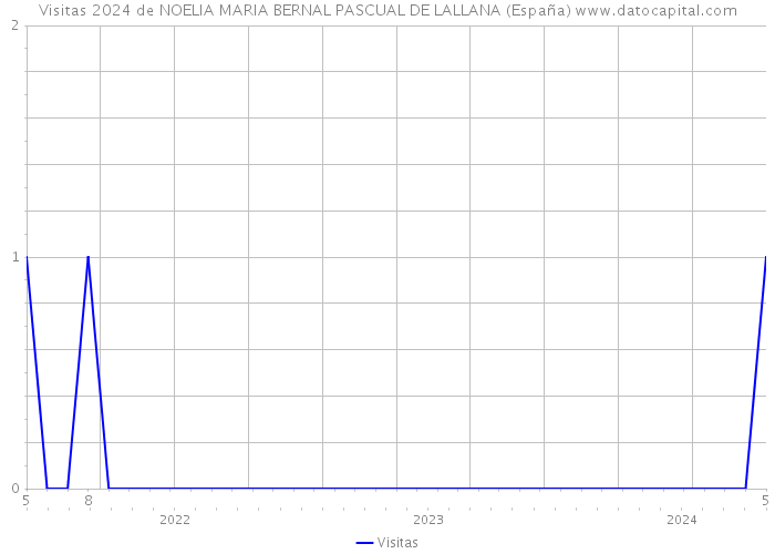 Visitas 2024 de NOELIA MARIA BERNAL PASCUAL DE LALLANA (España) 