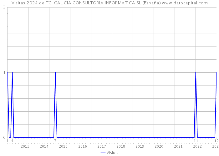 Visitas 2024 de TCI GALICIA CONSULTORIA INFORMATICA SL (España) 