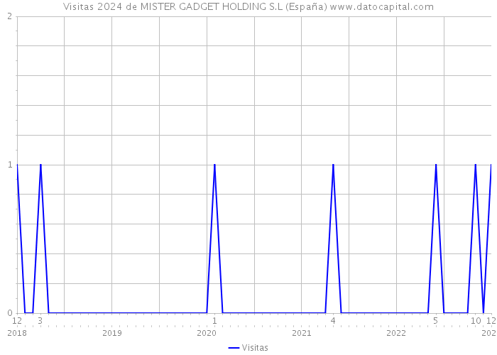 Visitas 2024 de MISTER GADGET HOLDING S.L (España) 