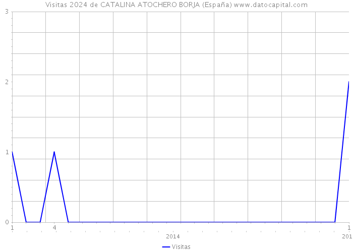 Visitas 2024 de CATALINA ATOCHERO BORJA (España) 