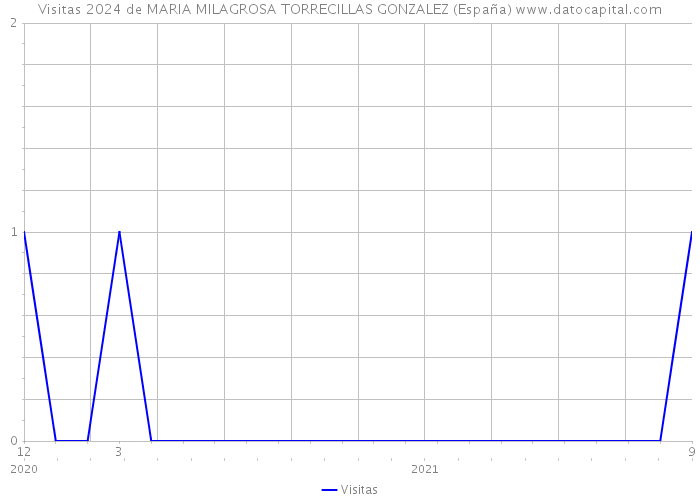 Visitas 2024 de MARIA MILAGROSA TORRECILLAS GONZALEZ (España) 
