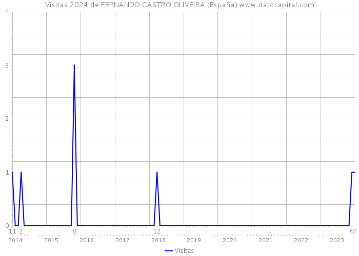 Visitas 2024 de FERNANDO CASTRO OLIVEIRA (España) 