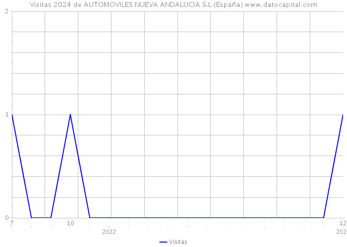 Visitas 2024 de AUTOMOVILES NUEVA ANDALUCIA S.L (España) 