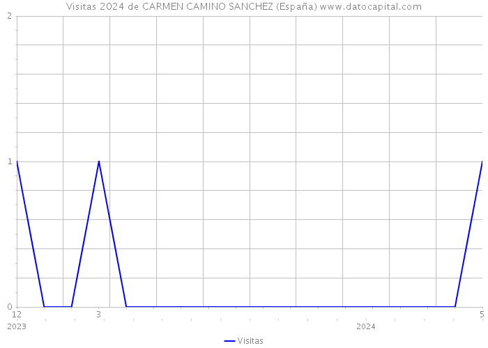 Visitas 2024 de CARMEN CAMINO SANCHEZ (España) 