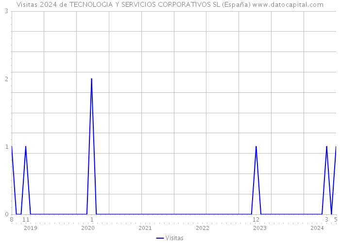 Visitas 2024 de TECNOLOGIA Y SERVICIOS CORPORATIVOS SL (España) 