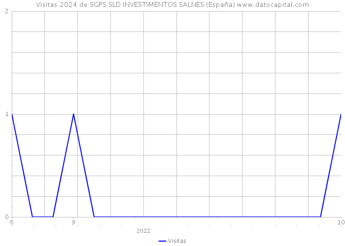 Visitas 2024 de SGPS SLD INVESTIMENTOS SALNES (España) 