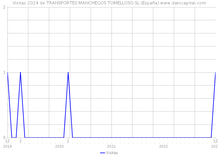 Visitas 2024 de TRANSPORTES MANCHEGOS TOMELLOSO SL (España) 