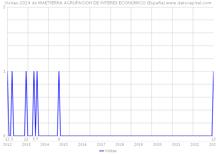 Visitas 2024 de MAETIERRA AGRUPACION DE INTERES ECONOMICO (España) 