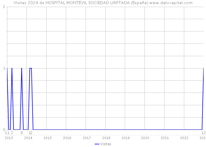 Visitas 2024 de HOSPITAL MONTEVIL SOCIEDAD LIMITADA (España) 