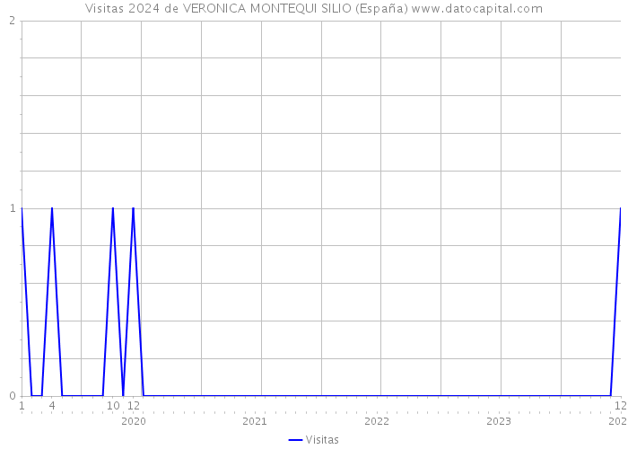 Visitas 2024 de VERONICA MONTEQUI SILIO (España) 