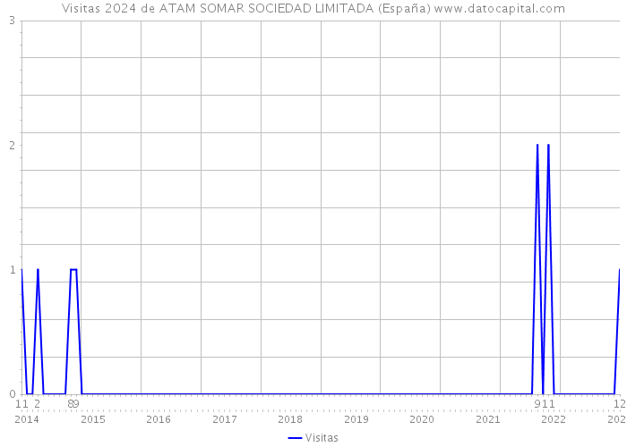 Visitas 2024 de ATAM SOMAR SOCIEDAD LIMITADA (España) 