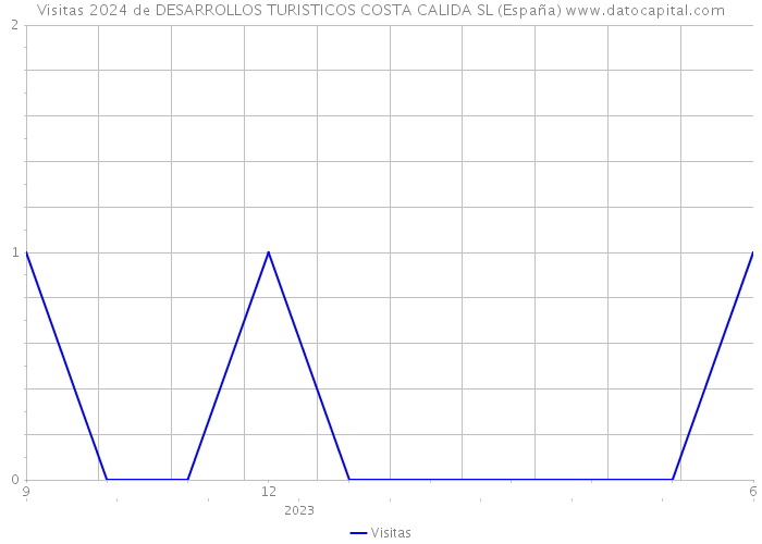 Visitas 2024 de DESARROLLOS TURISTICOS COSTA CALIDA SL (España) 