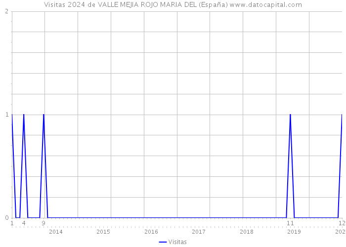 Visitas 2024 de VALLE MEJIA ROJO MARIA DEL (España) 